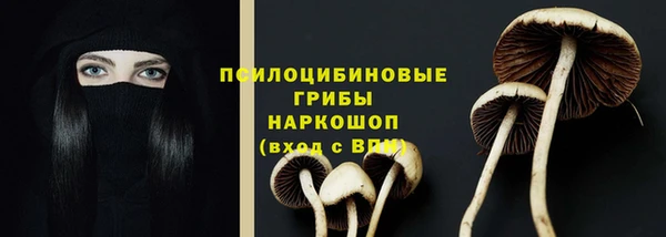 дурь Медвежьегорск