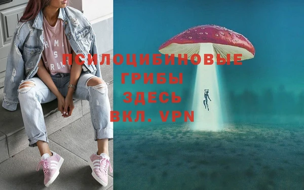 дурь Медвежьегорск