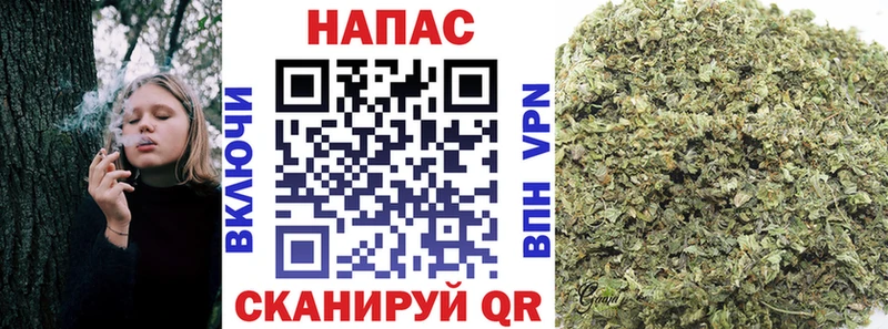 Бошки марихуана Amnesia  наркотики  Исилькуль 